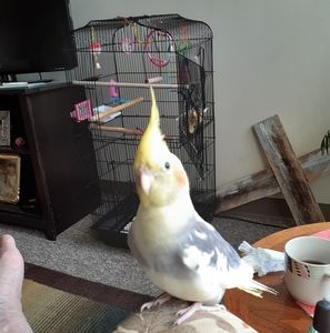 Meet your Posher, Judith